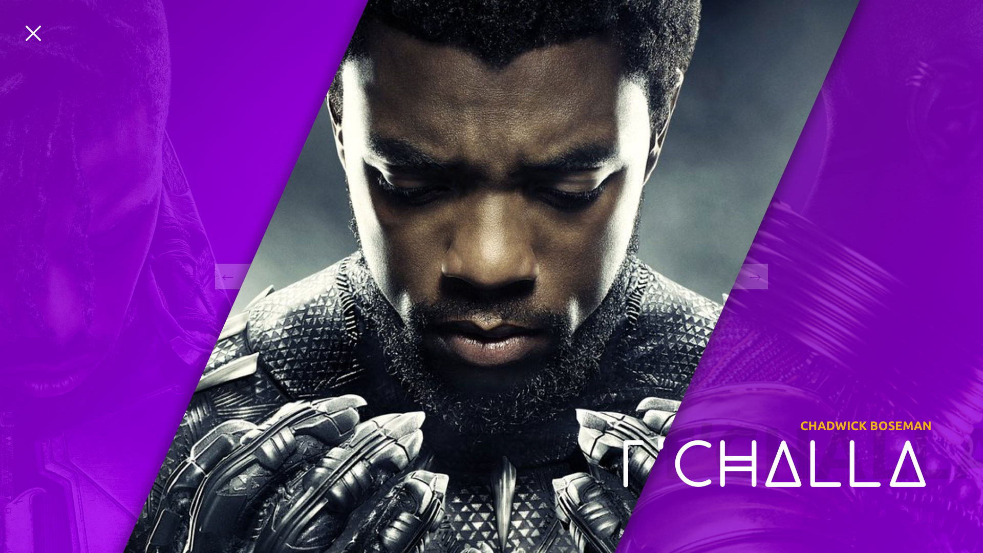 black panther web site characters cast gallery design mockup