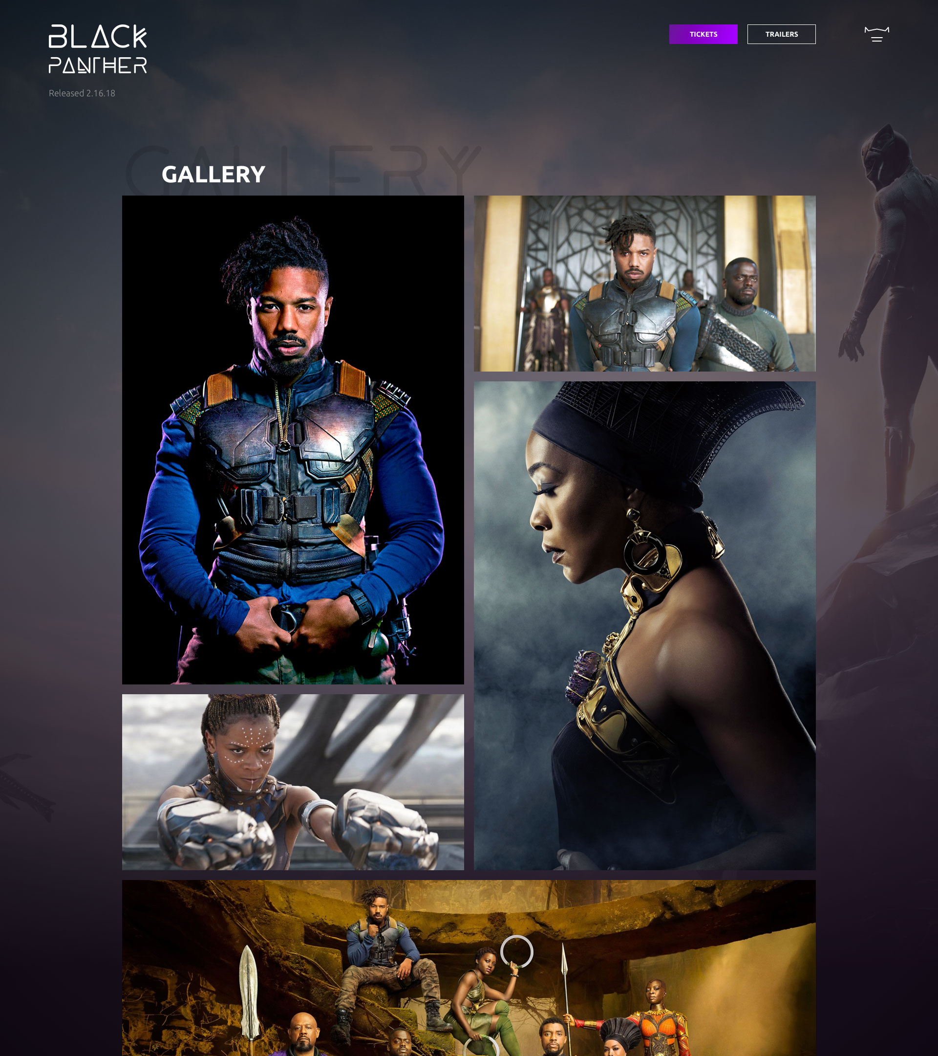 black panther web site gallery design mockup
